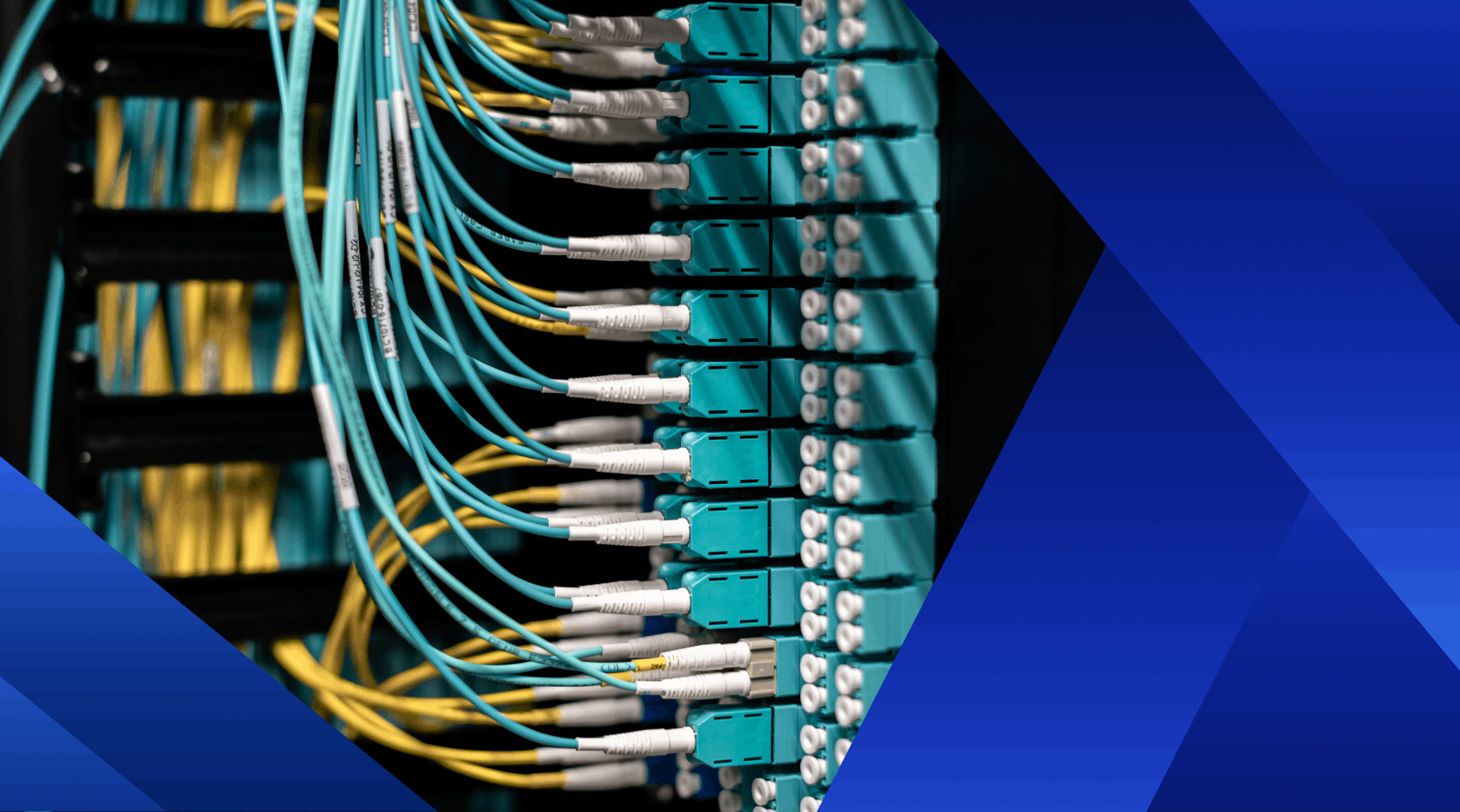 Enabling P4-Based Packet De-duplication on iW-Fibre SmartNICs